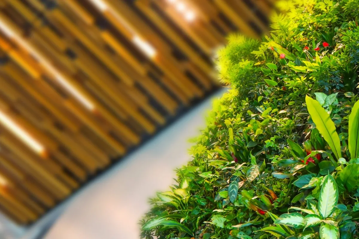 Artificial Living Wall vs. Hedge Wall: Which Rental Fits Better?