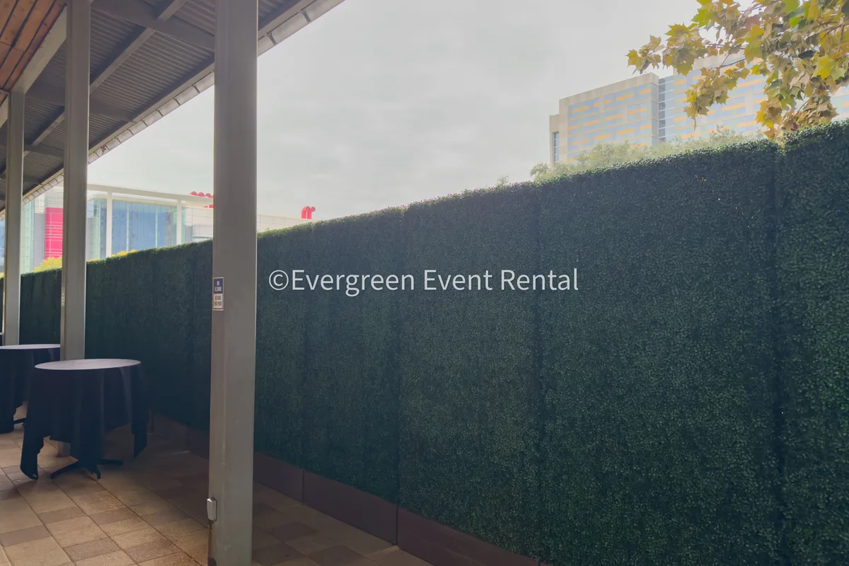 Hedge Wall Lighting Tips: Uplights, Spotlights, and String Lights