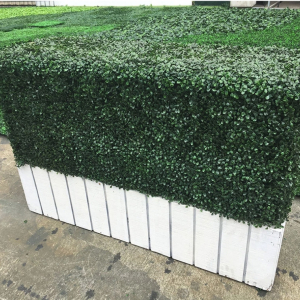 artificial-boxwood-hedge7